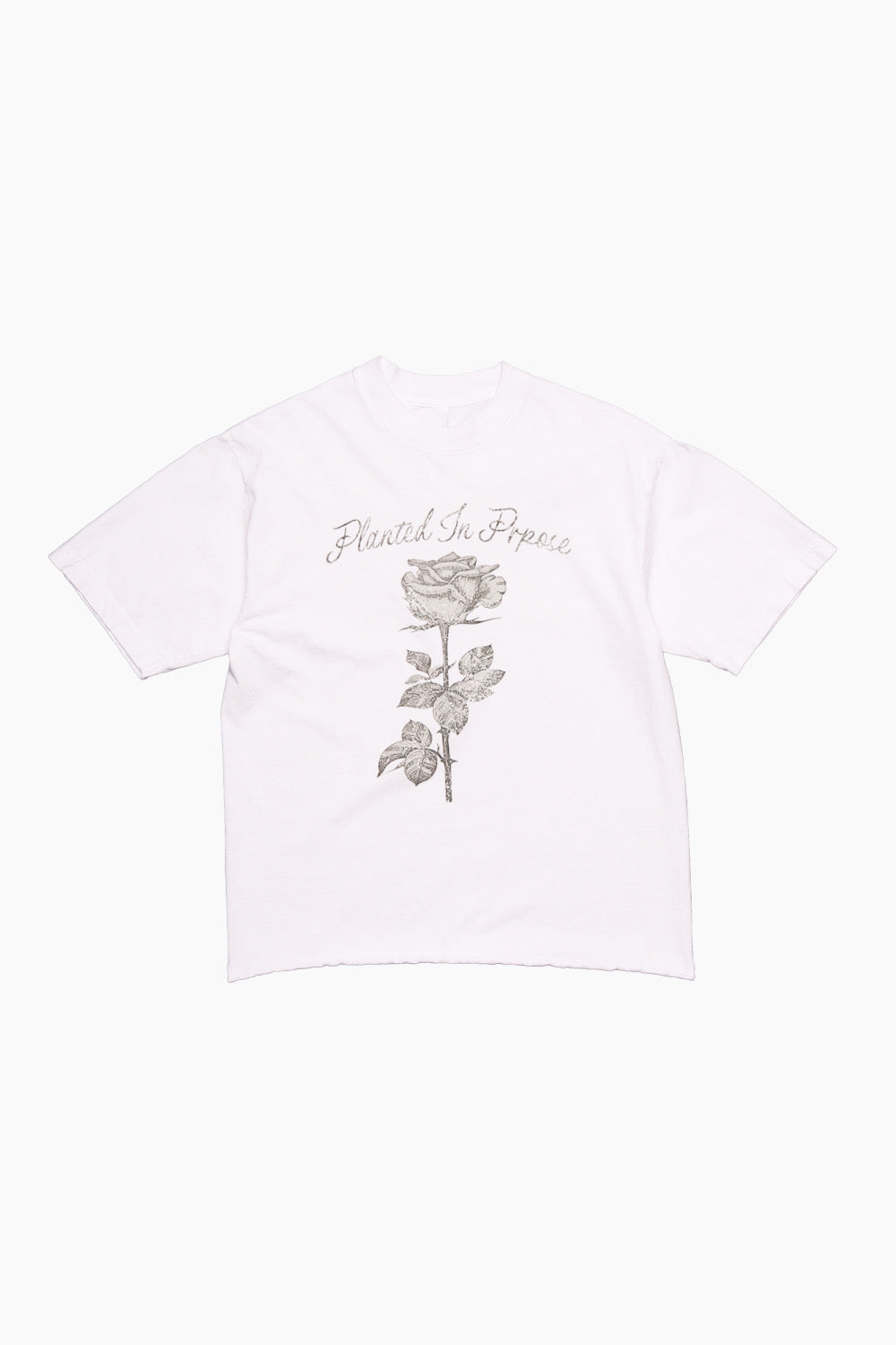 PLANTED Tee